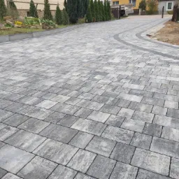 Ułożona, szara kostka brukowa z ciemniejszym obramowaniem na podjeździe w Pawłowie, widok z perspektywy, z widocznymi tujami w tle.