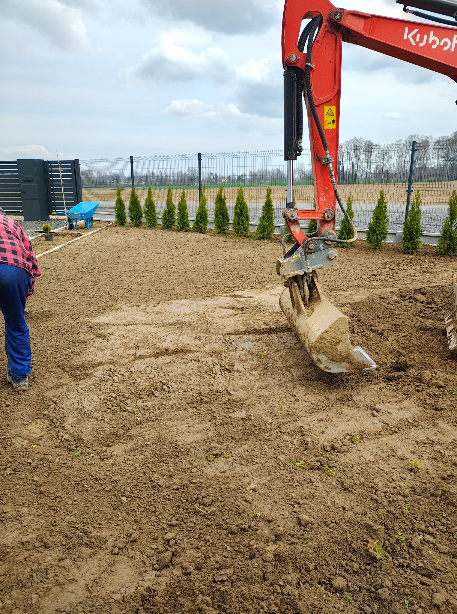 Czerwona mini koparka Kubota na działce z wyrównaną ziemią, przygotowaną pod trawnik. W tle rząd tuj i ogrodzenie panelowe.
