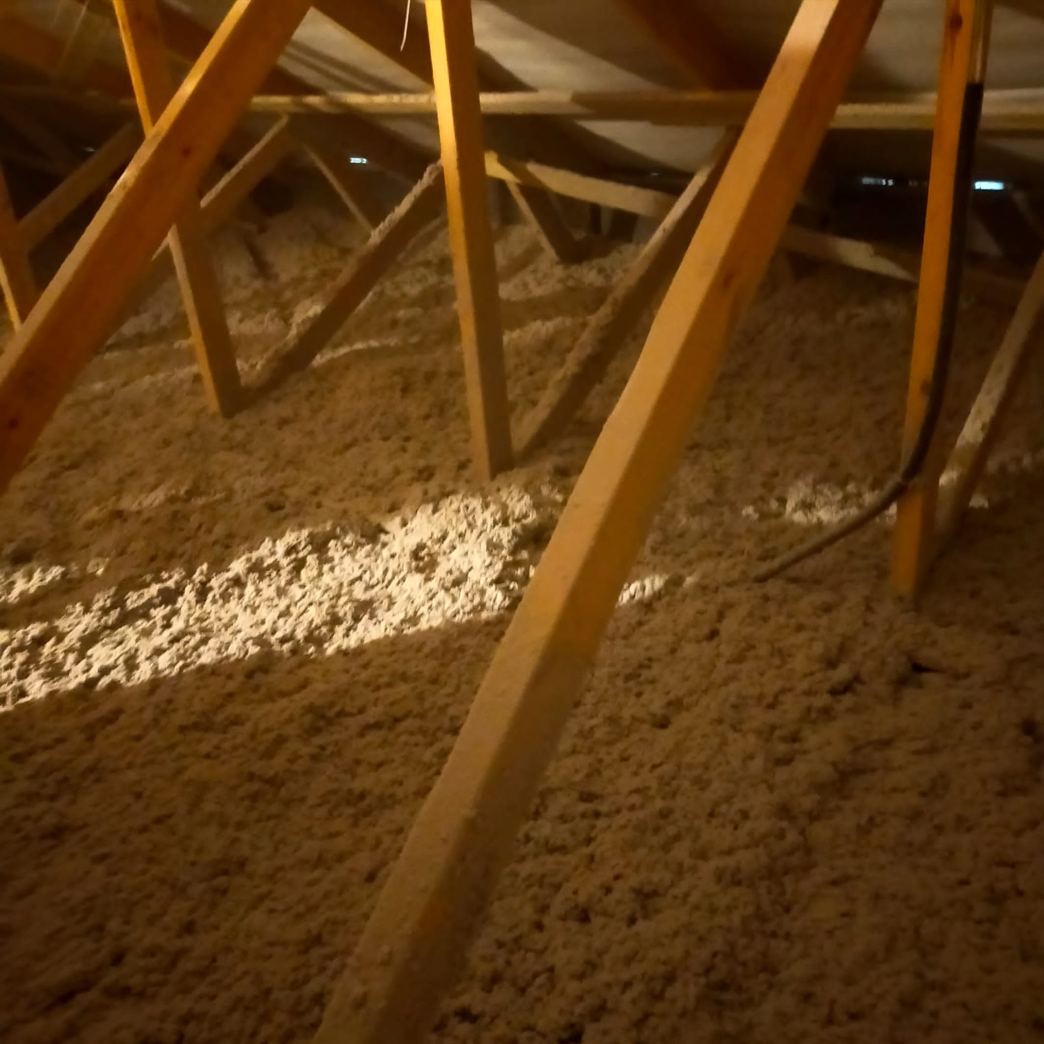 Strych z drewnianą konstrukcją więźby dachowej wypełniony jasną, sypką izolacją termiczną w nierównomiernym oświetleniu.