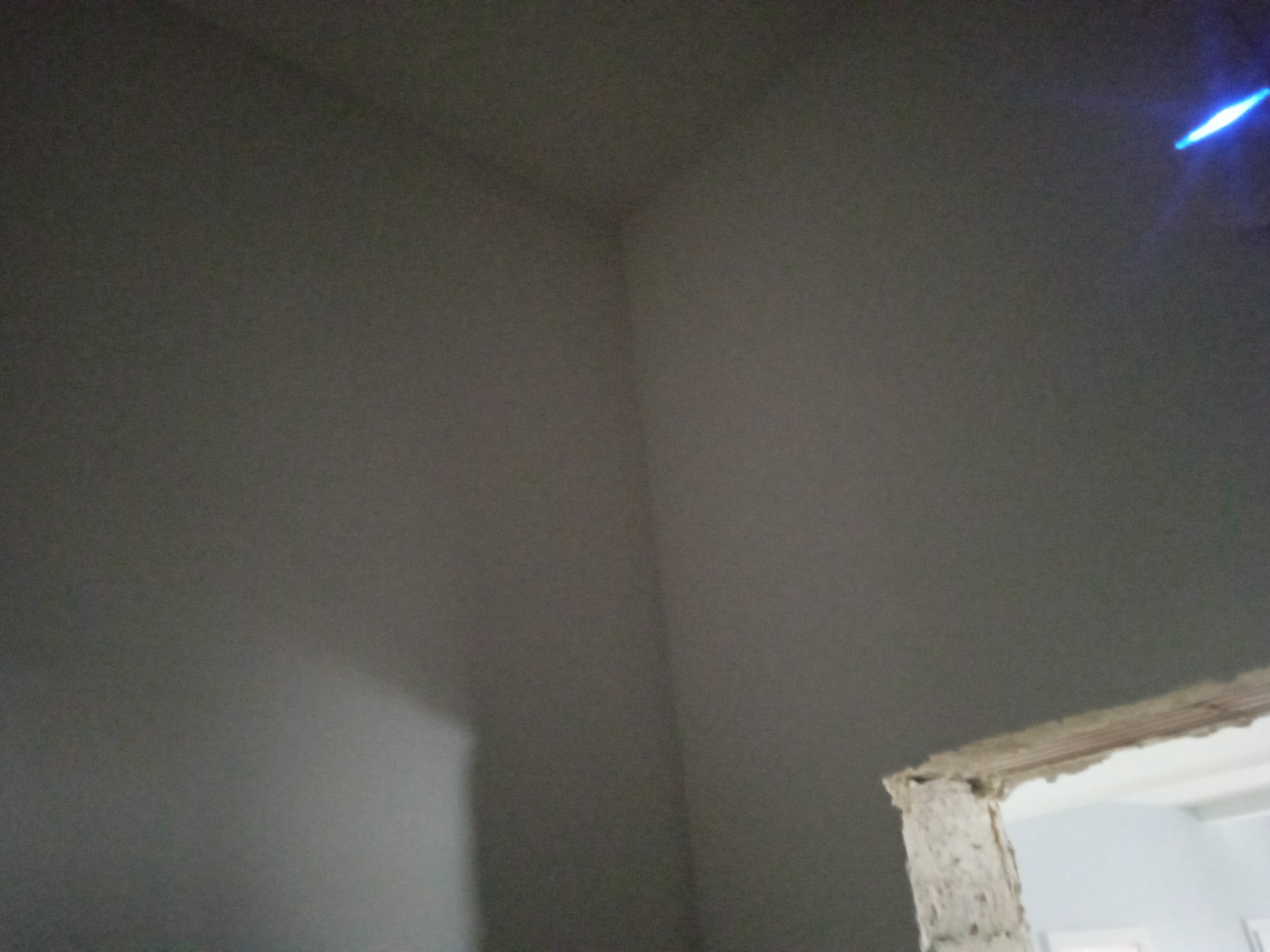 Szare ściany w rogu pomieszczenia, widoczny fragment sufitu i fragment surowego ościeża drzwiowego z uszkodzonym tynkiem.