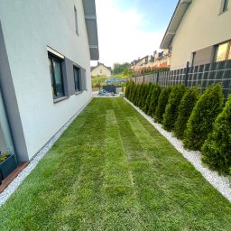 Trawa z rolki Bochnia 4