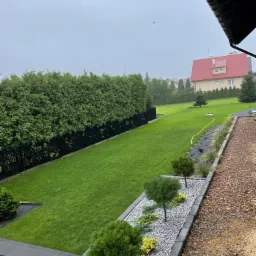 Widok z góry na zadbany ogród z równo przystrzyżonym trawnikiem, żywopłotem z tui wzdłuż czarnego ogrodzenia, rabatą z ozdobnymi krzewami i białym grysem oraz ścieżką z brązowego żwiru, w tle dom...