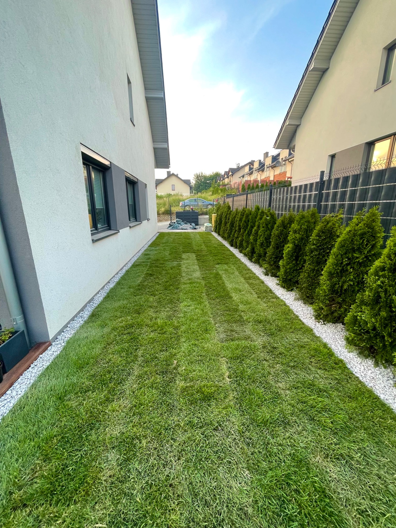 Świeżo ułożona darń w wąskim pasie ogrodu między budynkami, obrzeże z białego grysu, rząd posadzonych tui.