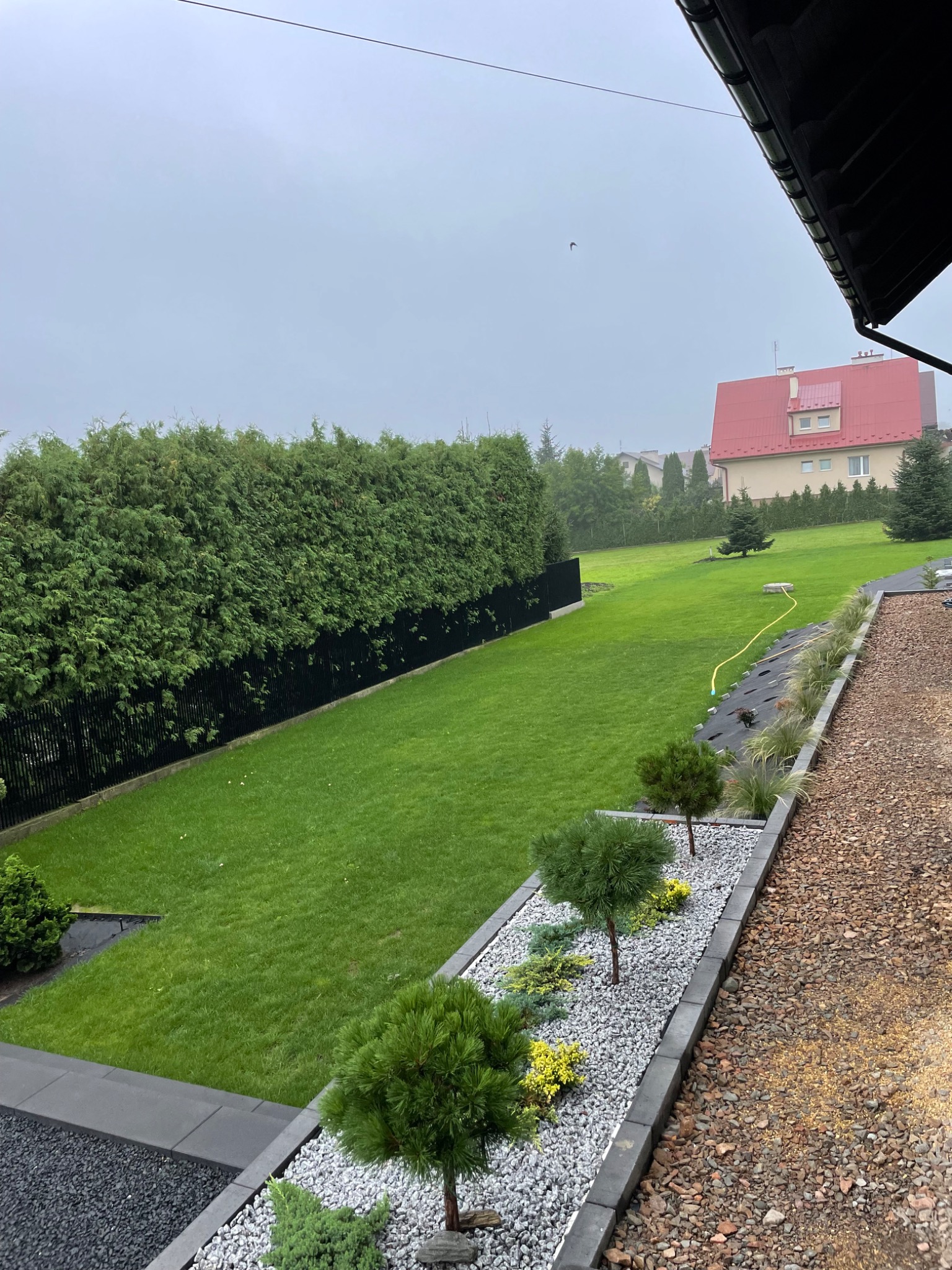 Widok z góry na zadbany ogród z równo przystrzyżonym trawnikiem, żywopłotem z tui wzdłuż czarnego ogrodzenia, rabatą z ozdobnymi krzewami i białym grysem oraz ścieżką z brązowego żwiru, w tle dom...