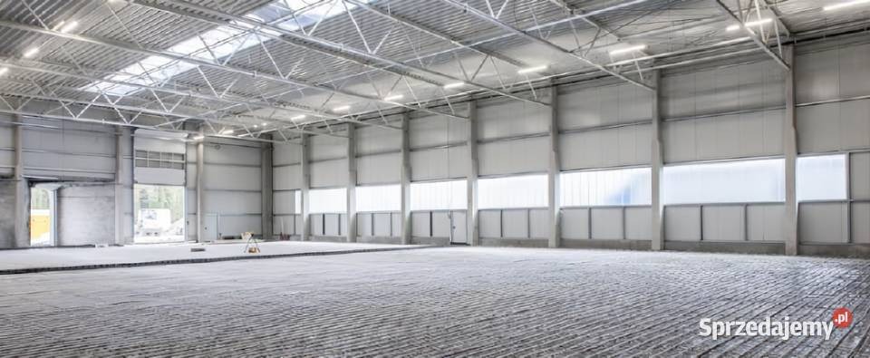 Wnętrze hali przemysłowej z betonową posadzką w trakcie wylewania, widoczne zbrojenie i stalowa konstrukcja dachu z oświetleniem.