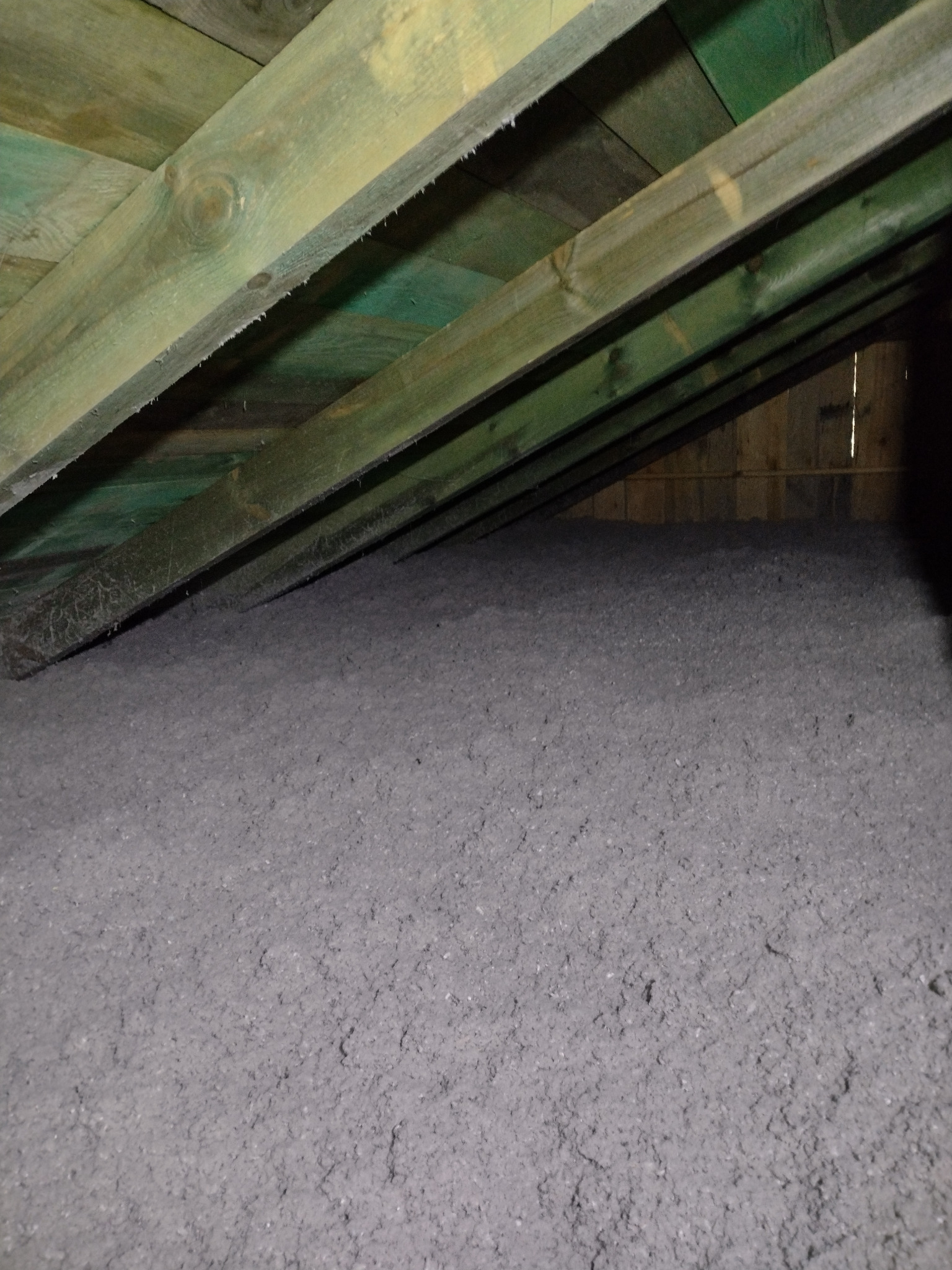 Szara izolacja celulozowa wypełnia przestrzeń poddasza między drewnianymi belkami stropowymi, widoczne ślady wilgoci na belkach.