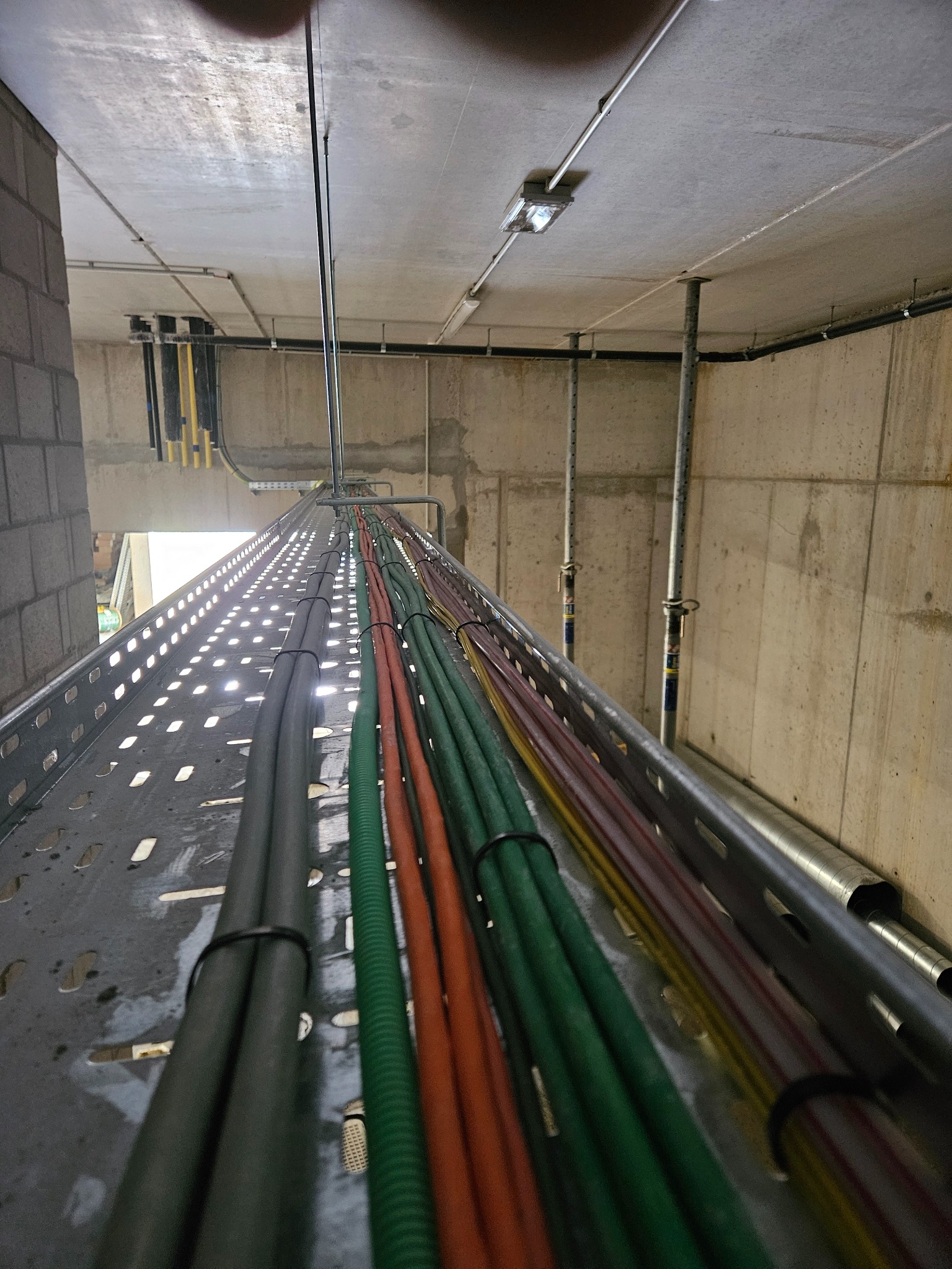 Różnokolorowe kable ułożone na metalowej perforowanej korycie kablowym, widok od dołu, surowy betonowy sufit z oświetleniem i rurami w tle.