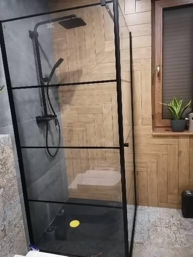 Kabina prysznicowa z czarnymi profilami na tle ściany wyłożonej drewnopodobnymi płytkami, widoczna również roślina doniczkowa na parapecie okna.