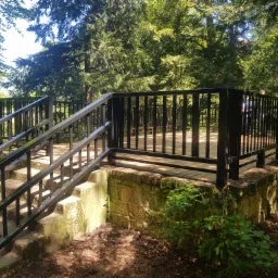 Metalowe schody z poręczą prowadzące na platformę widokową z czarną balustradą, w tle drzewa i osoby.