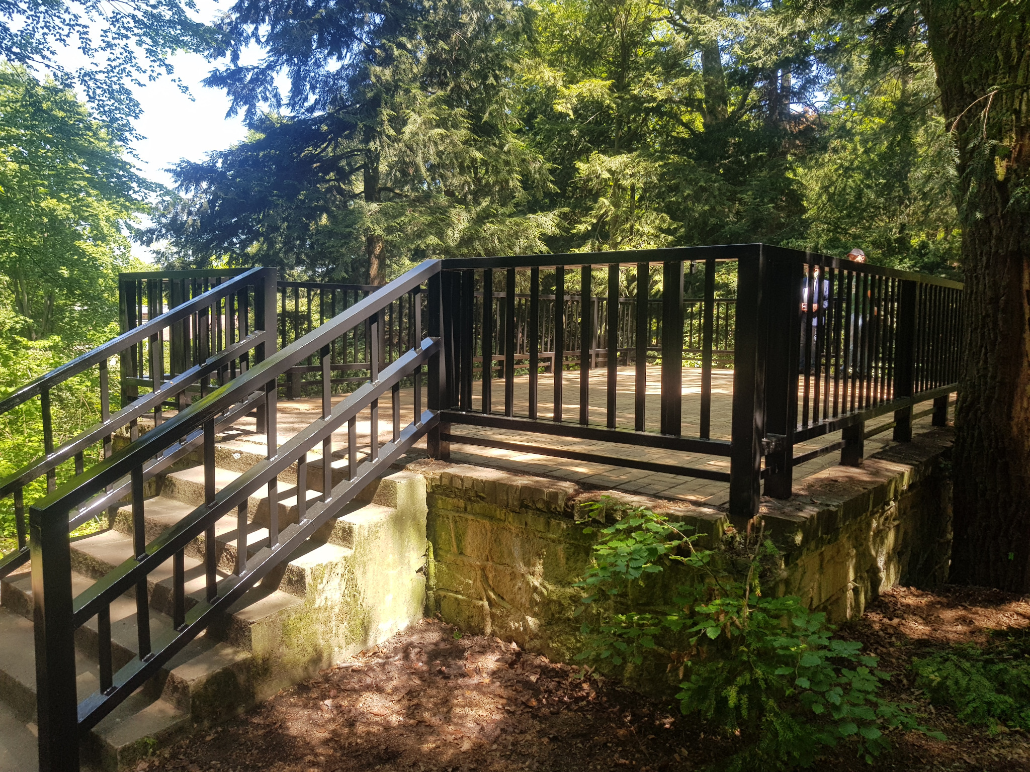 Metalowe schody z poręczą prowadzące na platformę widokową z czarną balustradą, w tle drzewa i osoby.