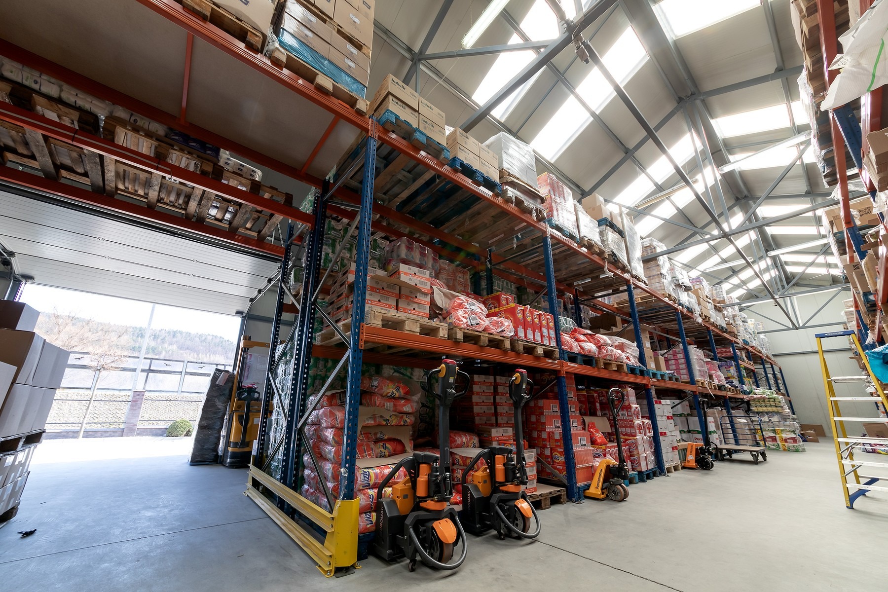 Wnętrze magazynu z wysokimi regałami wypełnionymi paletami z towarem, w tym środkami czystości, widoczne wózki widłowe i drabina.