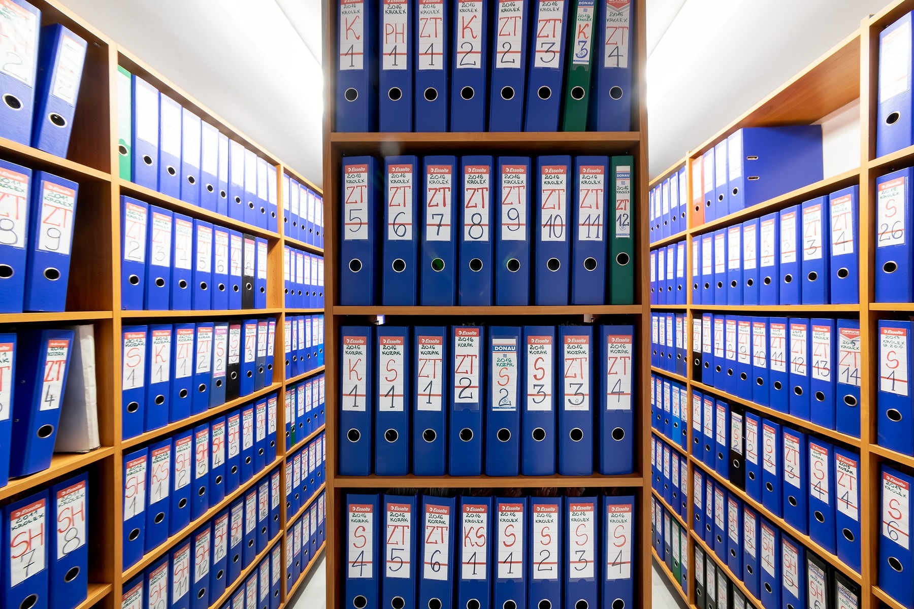 Rzędy niebieskich segregatorów z białymi etykietami na drewnianych półkach, wypełniające całą przestrzeń od podłogi do sufitu, tworząc wrażenie uporządkowanego archiwum.