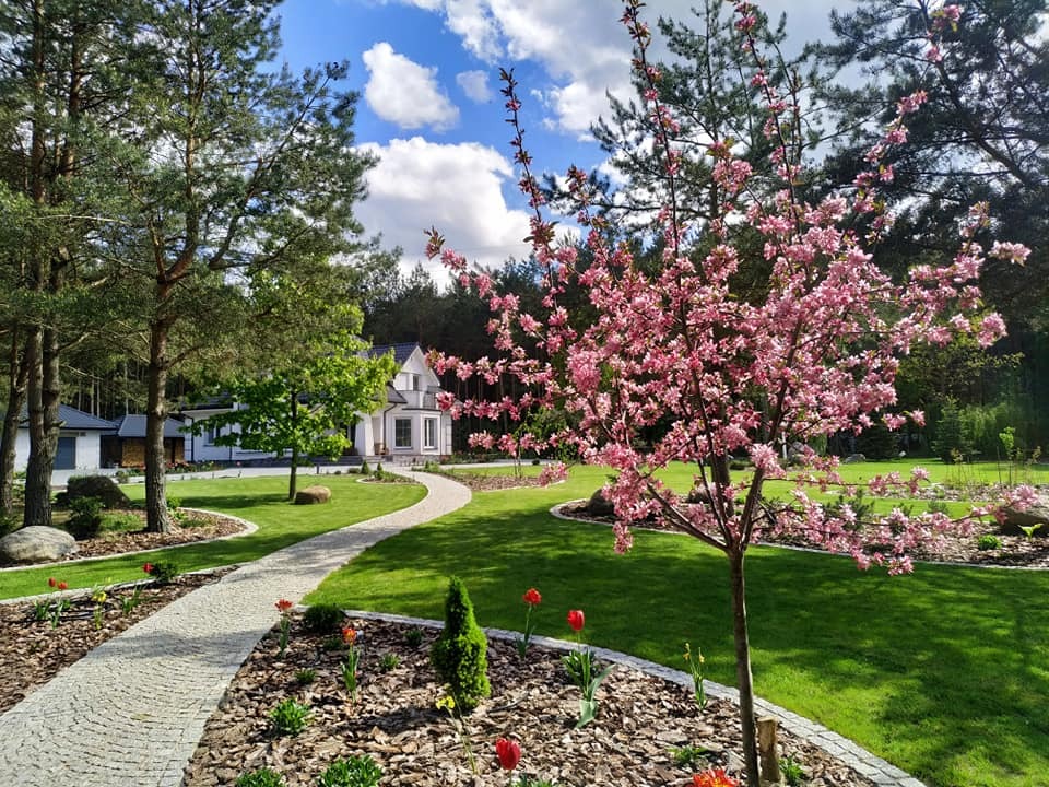 Utrzymany trawnik z kwitnącym drzewem i ścieżką z kostki prowadzącą do białego domu z szarym dachem w słoneczny dzień.