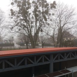 ZUBA Łukasz Drobiszewski - Nowa, pomarańczowa blacha trapezowa na zadaszeniu w tle zamglony krajobraz miejski z drzewami porośniętymi jemiołą.