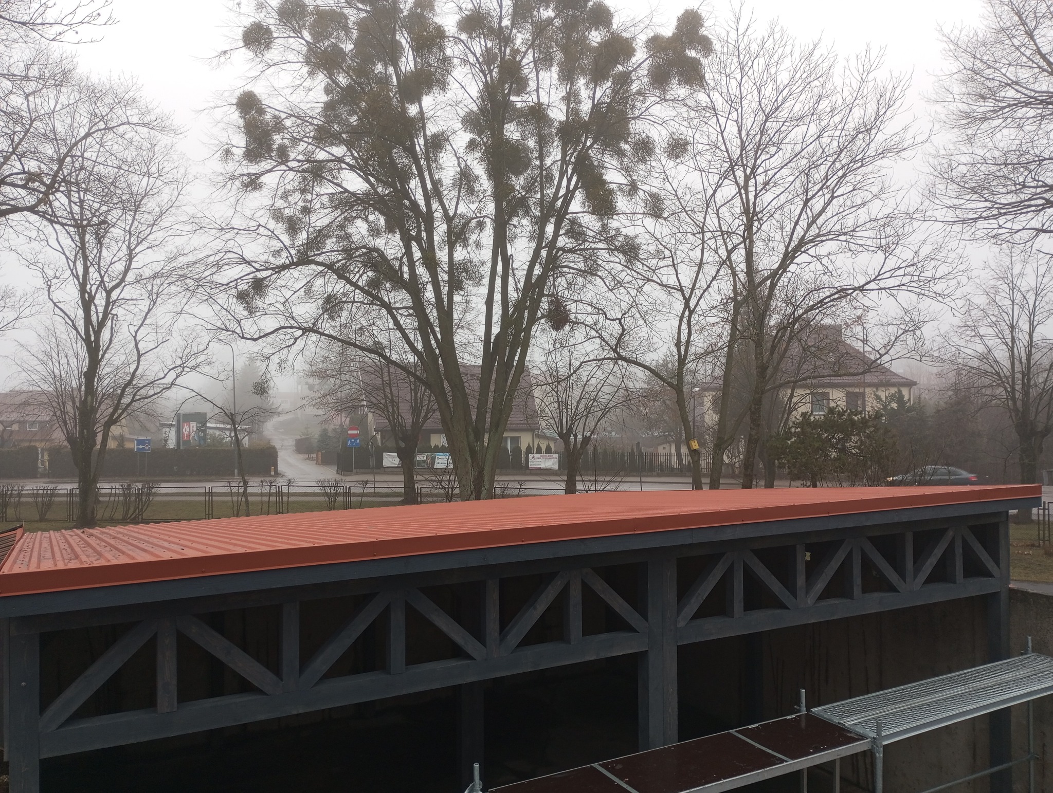 Nowa, pomarańczowa blacha trapezowa na zadaszeniu w tle zamglony krajobraz miejski z drzewami porośniętymi jemiołą.