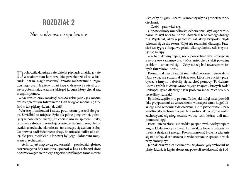 Przykładowa rozkładówka powieści