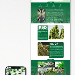 DESIGN M8 - Projekt strony internetowej Endocanna z 2024 roku, prezentujący uprawę roślin w zaawansowanym systemie aeroponicznym. Widoczny layout i wdrożenie strony.