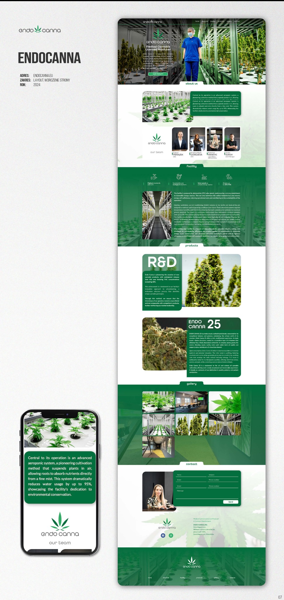 Projekt strony internetowej Endocanna z 2024 roku, prezentujący uprawę roślin w zaawansowanym systemie aeroponicznym. Widoczny layout i wdrożenie strony.