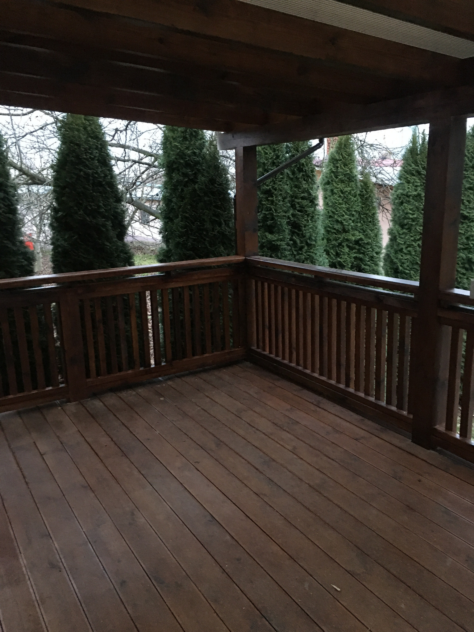 Zadaszony taras z drewnianą podłogą i balustradą, widok na rząd wysokich, zielonych drzew iglastych w tle.