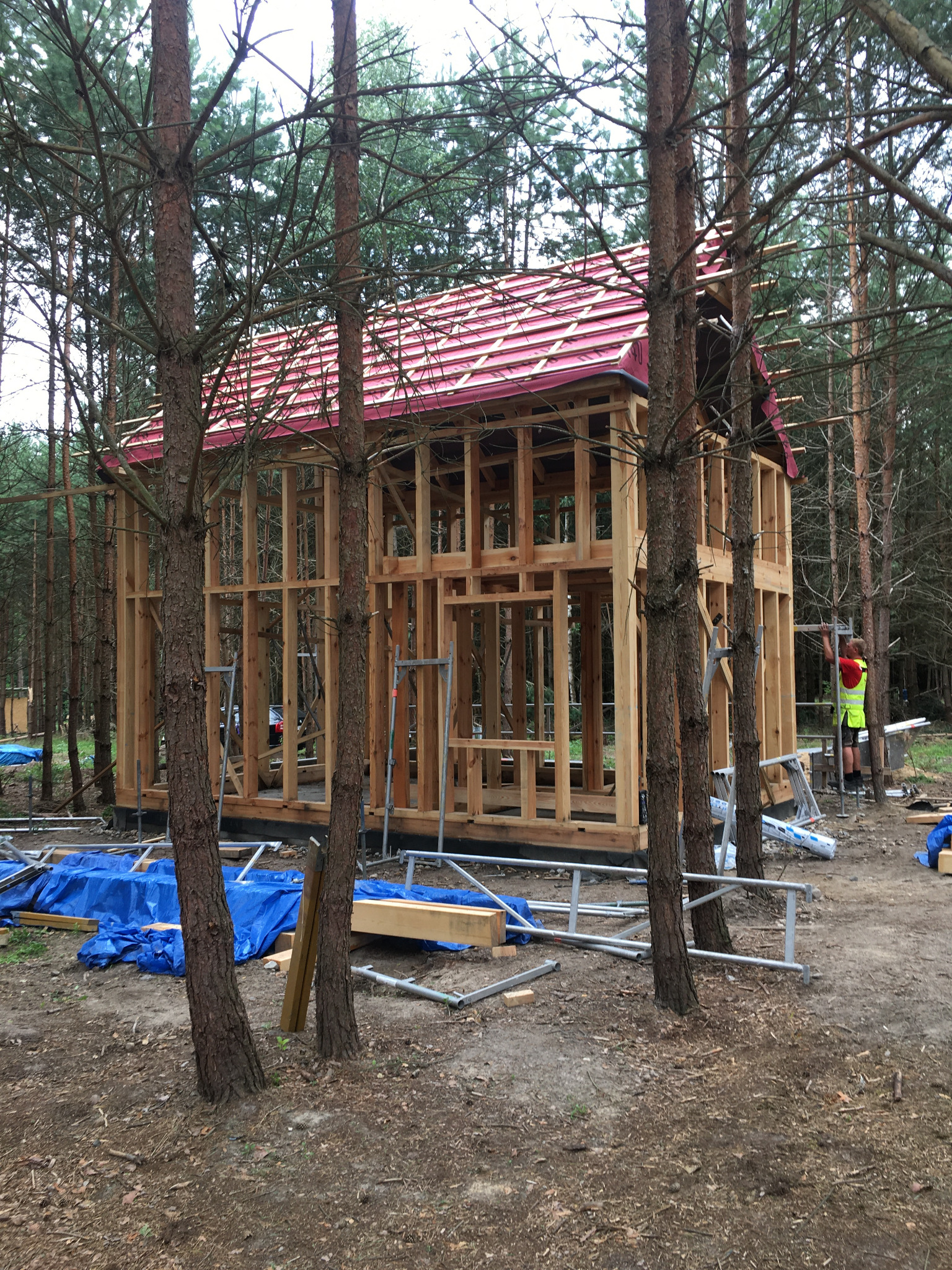 Konstrukcja drewniana domu z czerwonym dachem w lesie sosnowym, widoczny pracownik w odblaskowej kamizelce i rozłożone materiały budowlane.