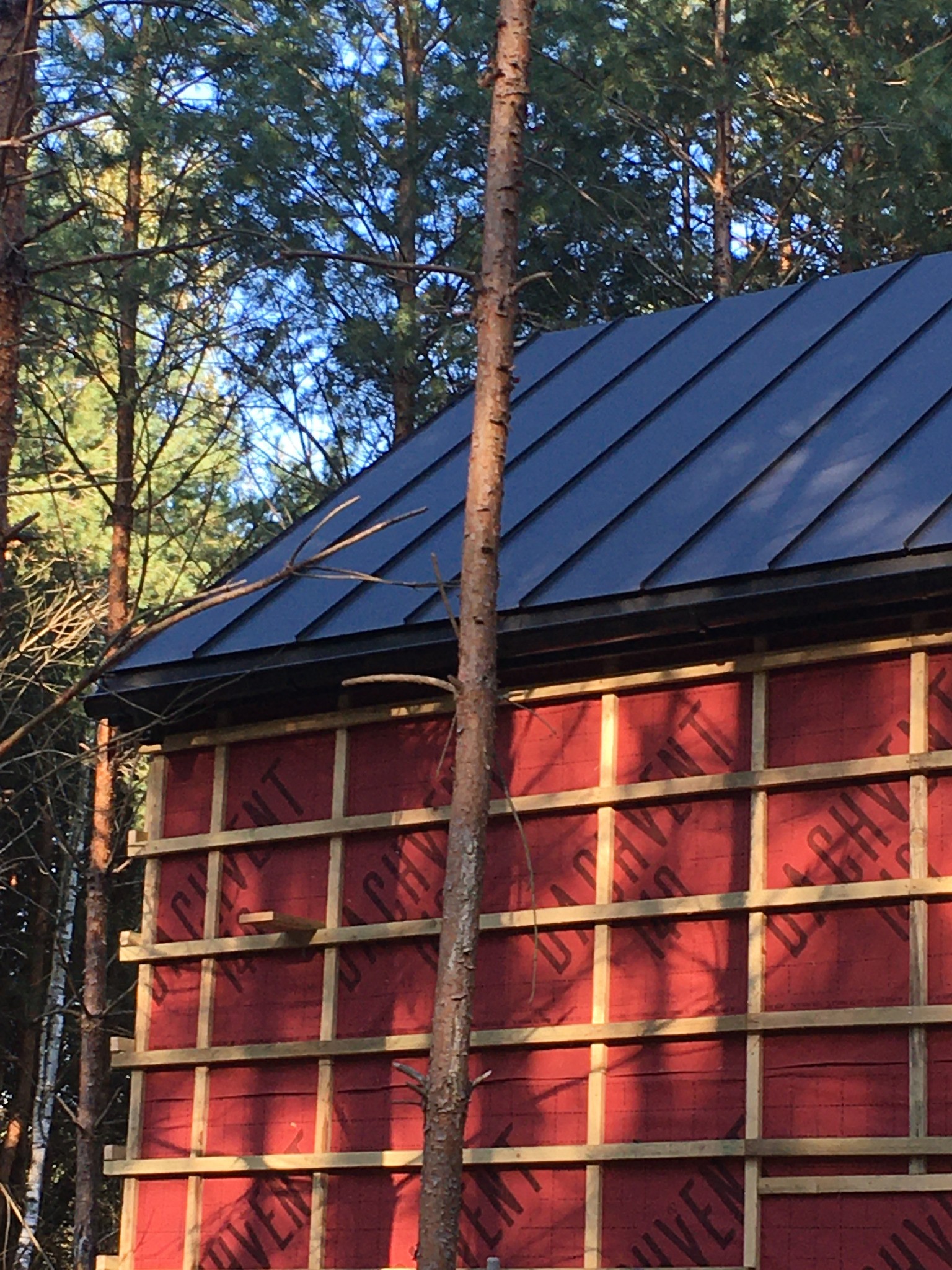 Wznoszenie konstrukcji domu: widok na fragment ściany z czerwoną membraną i drewnianym rusztem na tle lasu iglastego oraz fragment dachu z ciemną blachodachówką.