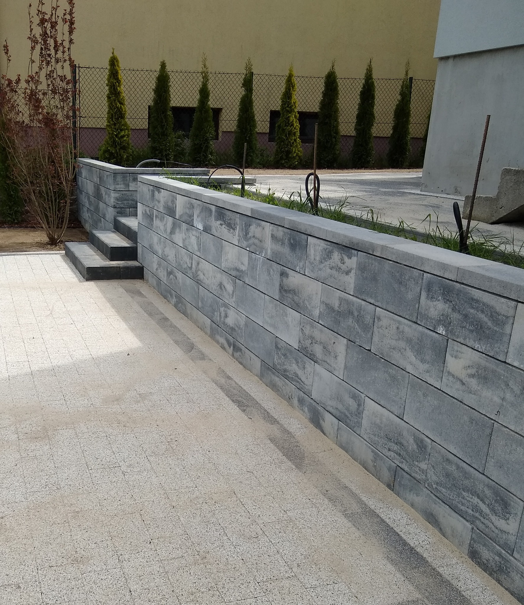 Nowoczesny murek oporowy z szarej kostki brukowej z wbudowanymi schodami, otoczony tujami i kostką brukową na podwórku.