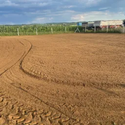 Niwelacja terenu: wyrównany, brązowy grunt z wyraźnymi śladami opon ciężkiego sprzętu, ogrodzenie z białych słupków w tle, za nim pole kukurydzy i pochmurne niebo.