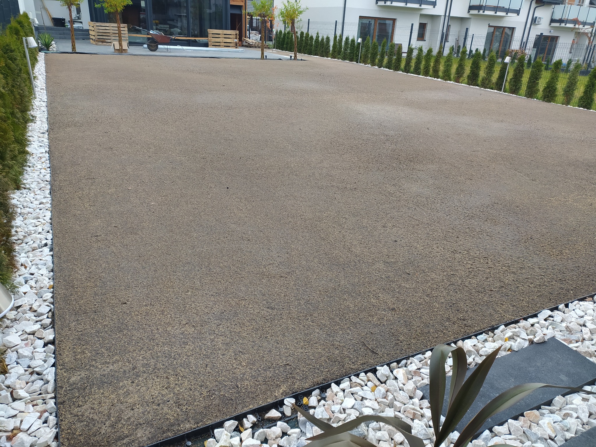 Przygotowanie podłoża pod trawnik: wyrównana powierzchnia z piasku i humusu, obrzeża z białych kamieni i zielonych tuj, w tle nowoczesny dom.