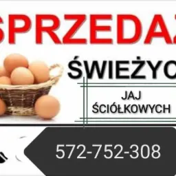 Ogłoszenie sprzedaży świeżych, ściółkowych, z numerem telefonu i koszykiem wypełnionym produktami.