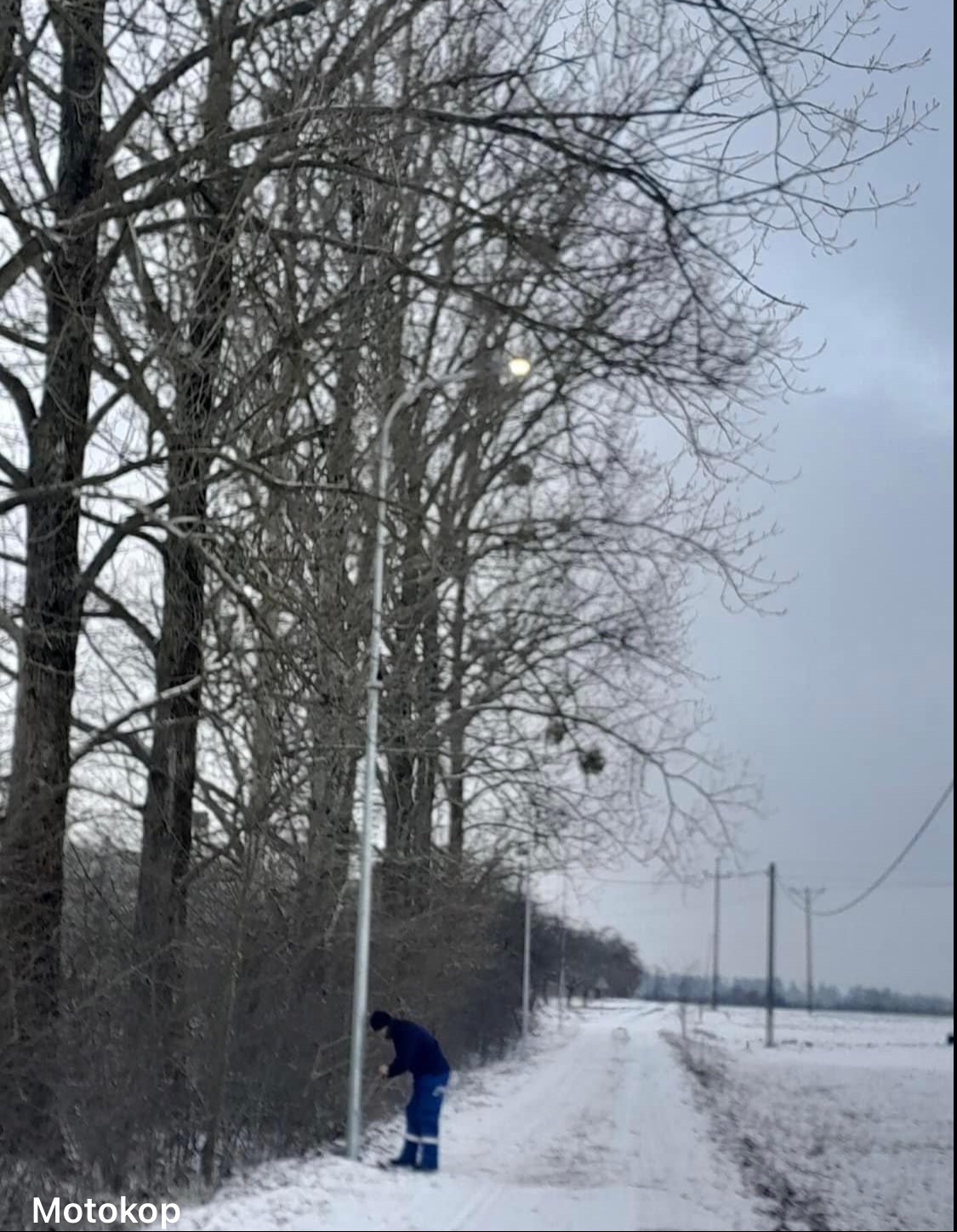Pracownik w niebieskim kombinezonie przy słupie oświetleniowym w zimowym krajobrazie, widoczna ośnieżona droga i drzewa bez liści.