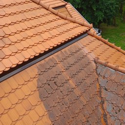 MaR-GaRet firma sprzątająco porządkowa Małgorzata Kasprzykowska - Częściowo wyczyszczony dach z czerwonej dachówki karpiówki, widoczne zabrudzenia i mech. Porównanie stanu przed i po czyszczeniu. Ujęcie z góry, w tle zieleń drzew.