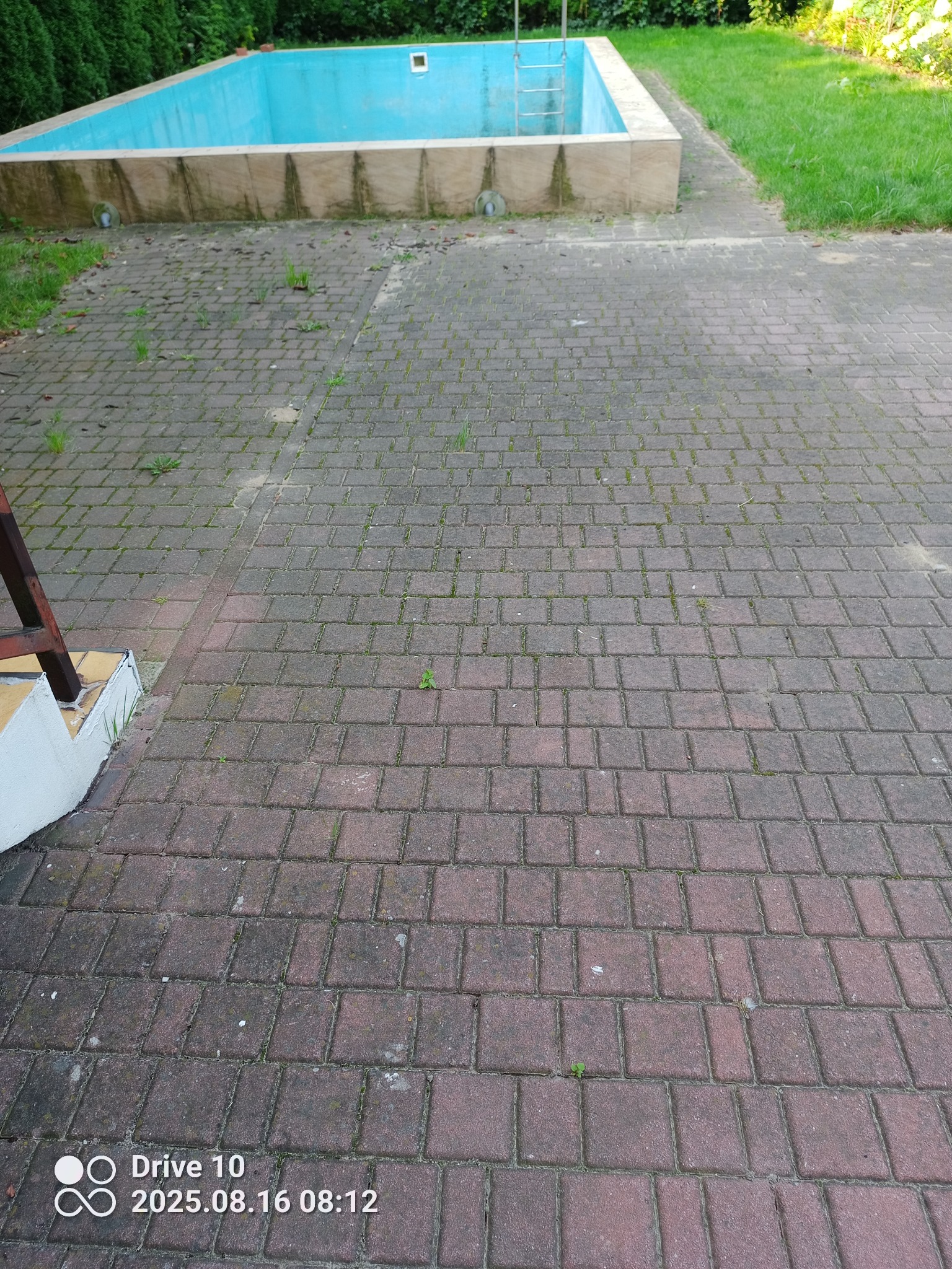 Czerwona kostka brukowa z porastającymi chwastami, fragment basenu w tle. Widoczne zabrudzenia i mech na kostce. Ujęcie z niskiej perspektywy.