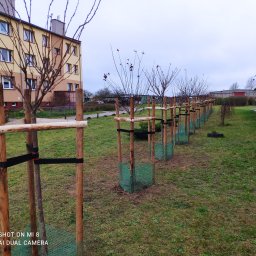 Pielęgnacja ogrodów Szczecinek 2