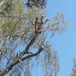 ARBO-ALPI - Solidna Budowa Dachu Rypin