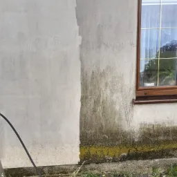 Fragment elewacji budynku z wyraźnym kontrastem: lewa strona po czyszczeniu, prawa pokryta zielonym nalotem i zabrudzeniami przy oknie z brązową ramą. Widoczny fragment węża ciśnieniowego.