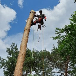 Prace wysokościowe Rypin 4