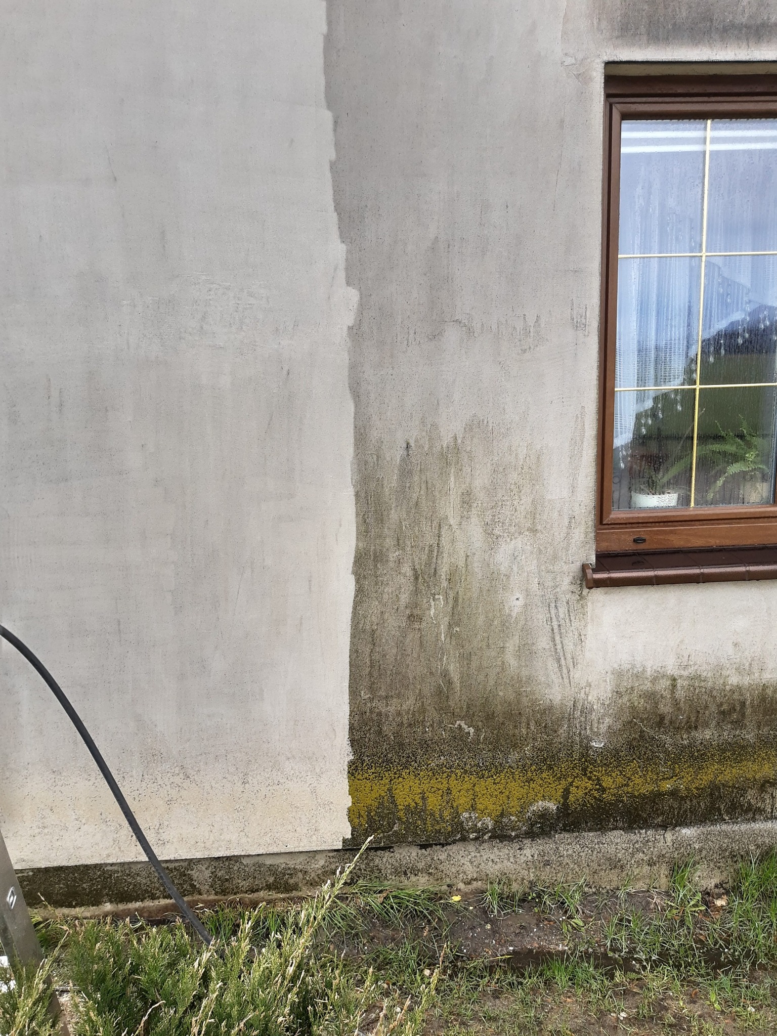 Fragment elewacji budynku z wyraźnym kontrastem: lewa strona po czyszczeniu, prawa pokryta zielonym nalotem i zabrudzeniami przy oknie z brązową ramą. Widoczny fragment węża ciśnieniowego.