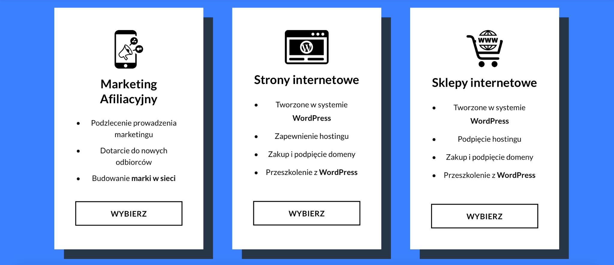 Porównanie ofert: Marketing afiliacyjny, strony internetowe, sklepy internetowe, wszystkie tworzone w systemie WordPress, z opcjami hostingu, domen i szkoleń.