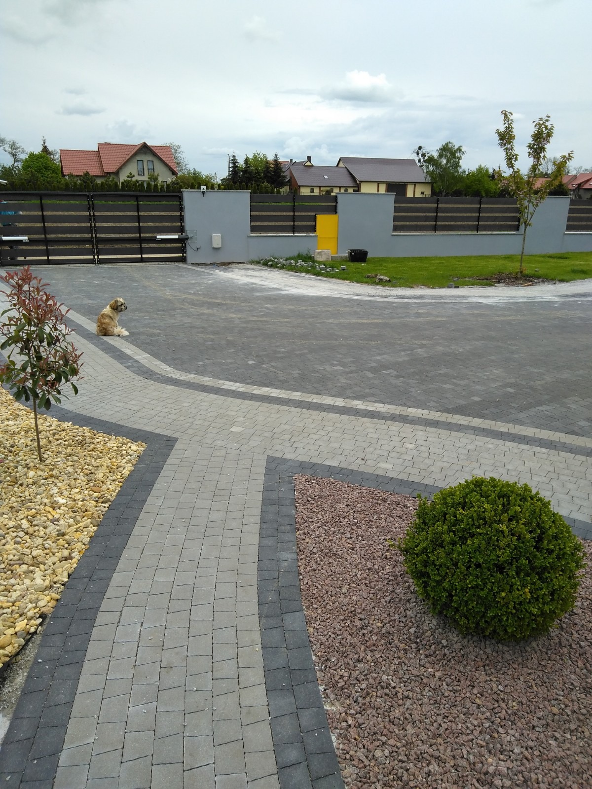 Ułożona szara kostka brukowa z obrzeżami z ciemnej kostki, ozdobne rabaty z kamykami i krzewem, pies siedzi na kostce brukowej, w tle brama i ogrodzenie.