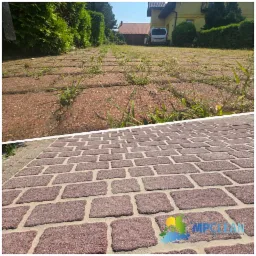 Kostka brukowa przed i po czyszczeniu: zarośnięta chwastami kontra idealnie czysta, z widocznym logo firmy sprzątającej w prawym dolnym rogu.