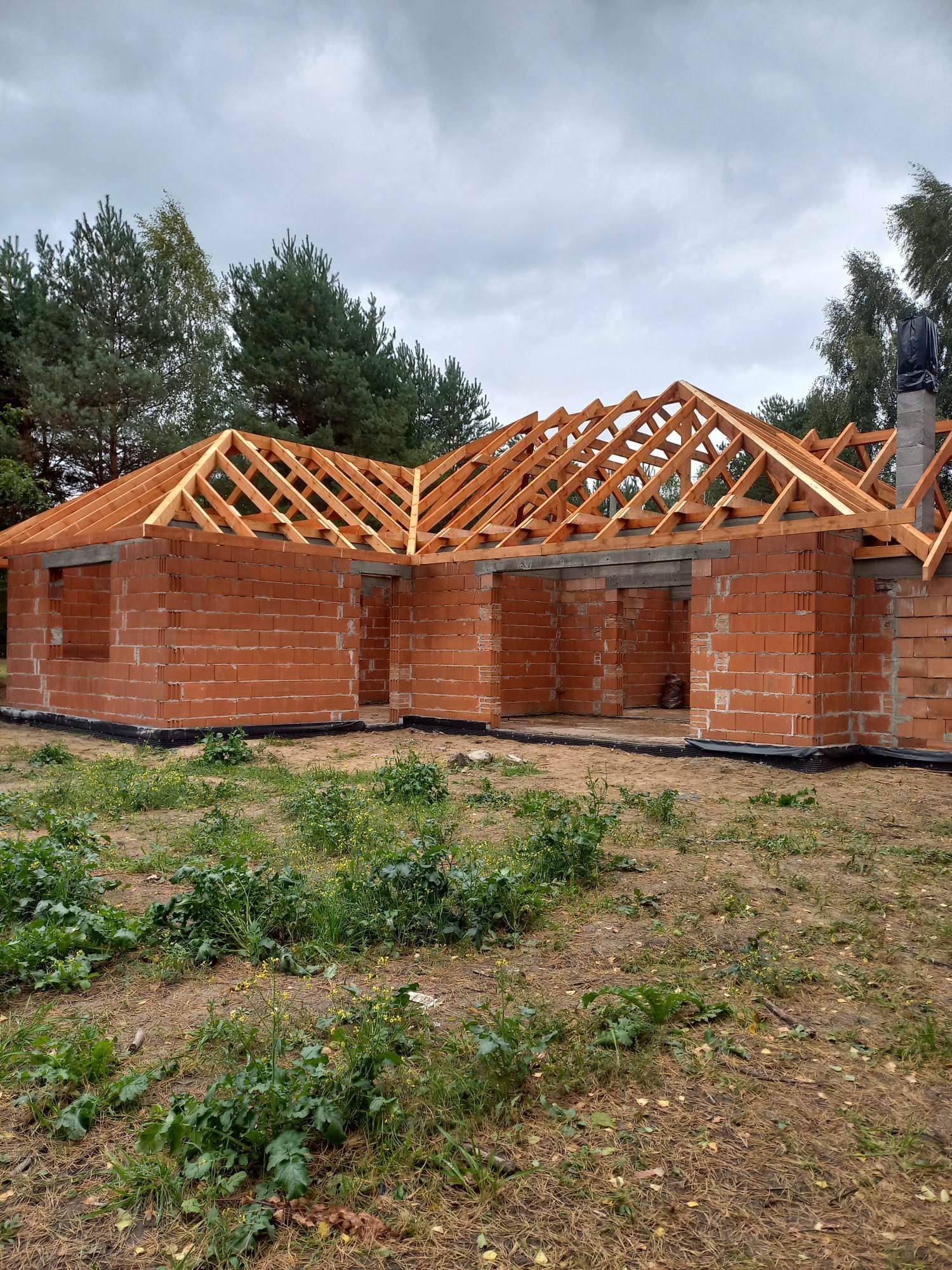 Surowa konstrukcja domu z czerwonej cegły z drewnianą konstrukcją dachu w trakcie budowy, widok z zewnątrz na tle drzew i pochmurnego nieba.