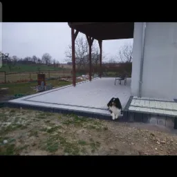 Nowoczesny taras z jasnoszarej kostki brukowej obramowany ciemnoszarym obrzeżem, z drewnianą pergolą i widokiem na zielone pola w tle, pies rasy owczarek szkocki collie leży na krawędzi tarasu.