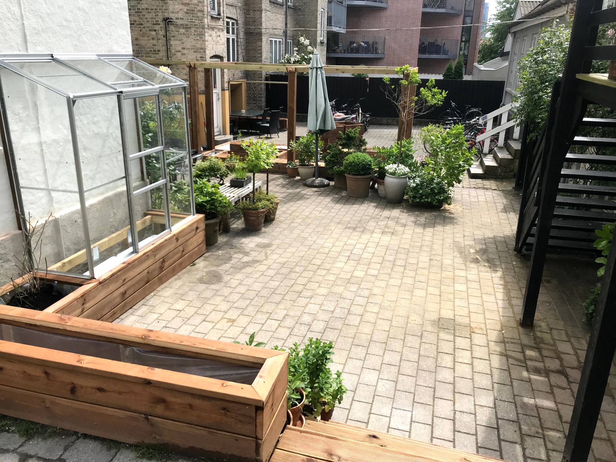 Przestrzeń zewnętrzna z nową szklarnią i drewnianymi rabatami, widok na patio z kostki brukowej i elementy konstrukcji drewnianej w tle.