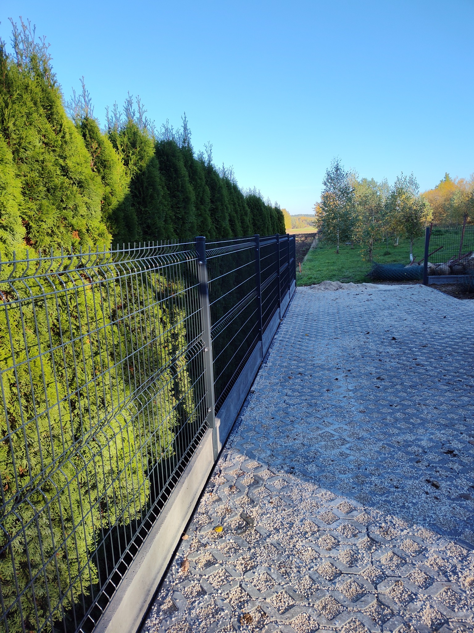 Nowoczesne ogrodzenie panelowe z podmurówką, oddzielające posesję od zieleni w Strawczynie. Widoczna kostka ażurowa na podjeździe i rząd tuj.