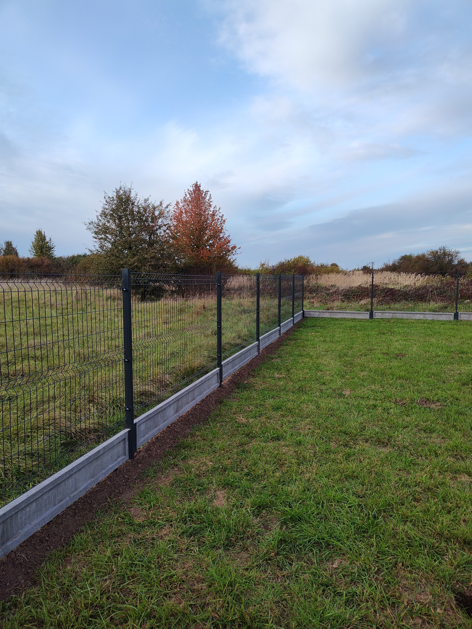 Nowoczesne ogrodzenie panelowe z podmurówką betonową na tle zielonego trawnika i drzew. Widok na zainstalowane, czarne panele ogrodzeniowe.