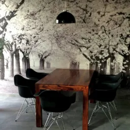 Jadalnia z drewnianym stołem, czarnymi krzesłami na metalowych nogach, czarną lampą wiszącą i fototapetą z motywem kwitnących drzew, obok donica z zieloną rośliną.