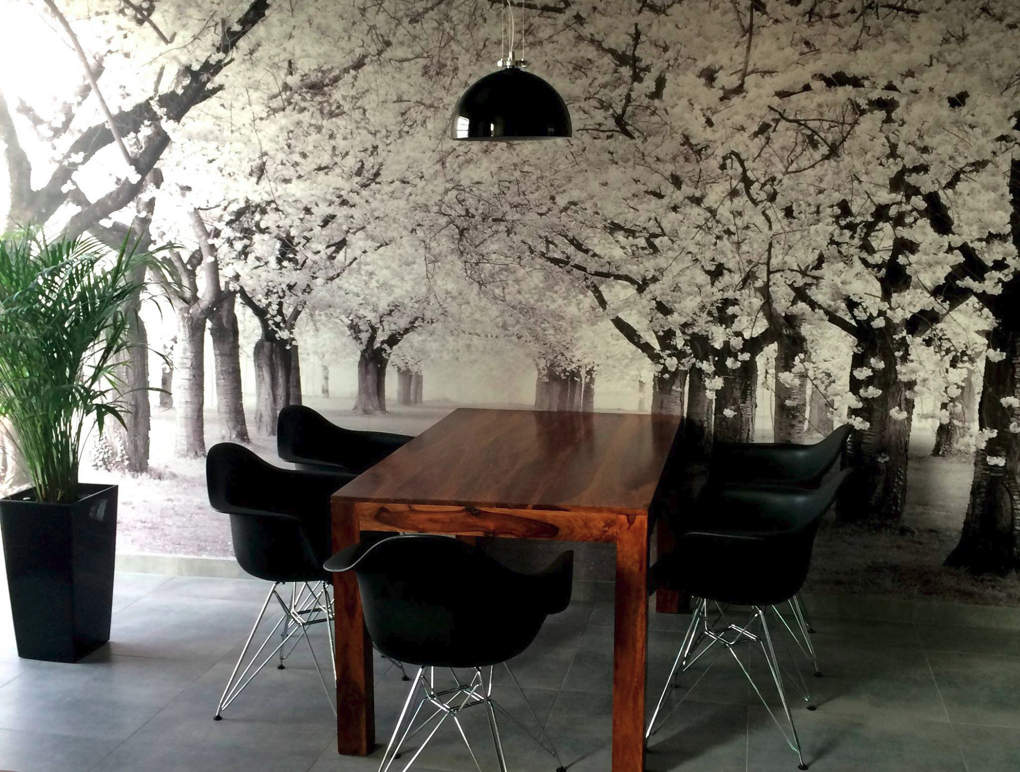 Jadalnia z drewnianym stołem, czarnymi krzesłami na metalowych nogach, czarną lampą wiszącą i fototapetą z motywem kwitnących drzew, obok donica z zieloną rośliną.