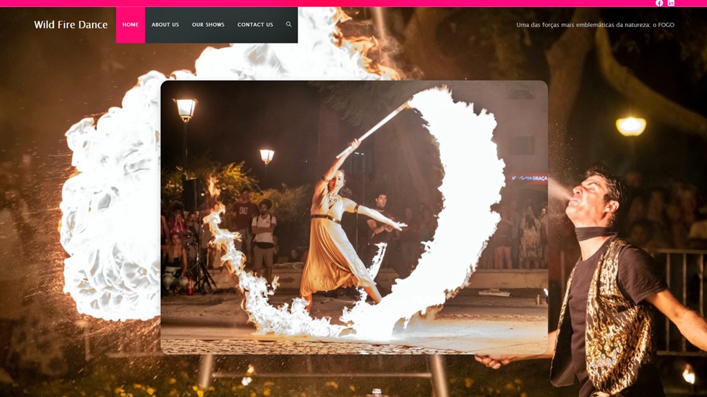 Zrzut ekranu strony internetowej Wild Fire Dance prezentujący artystów wykonujących taniec z ogniem na tle tłumu, z efektem płomieni nachodzącym na interfejs strony. Firma z Wielunia może...