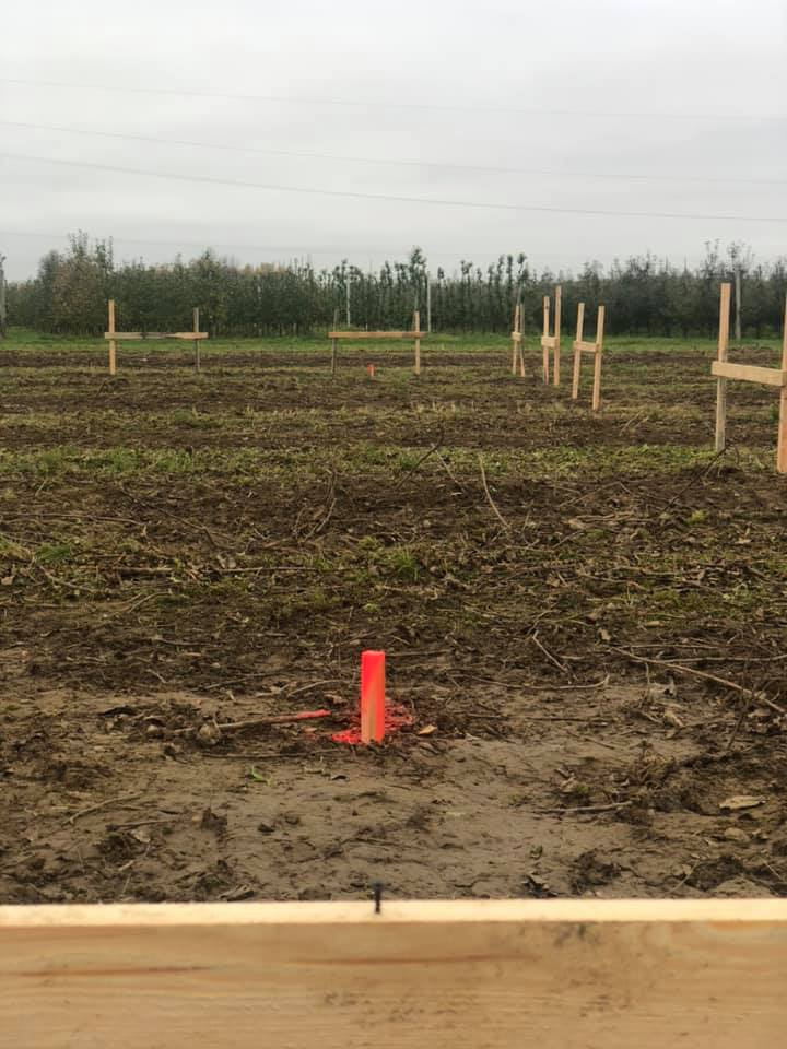 Wytyczanie terenu pod budowę: drewniane słupki i pomarańczowe znaczniki wbite w ziemię na polu, widok z perspektywy bliskiej ziemi, pochmurne niebo w tle.