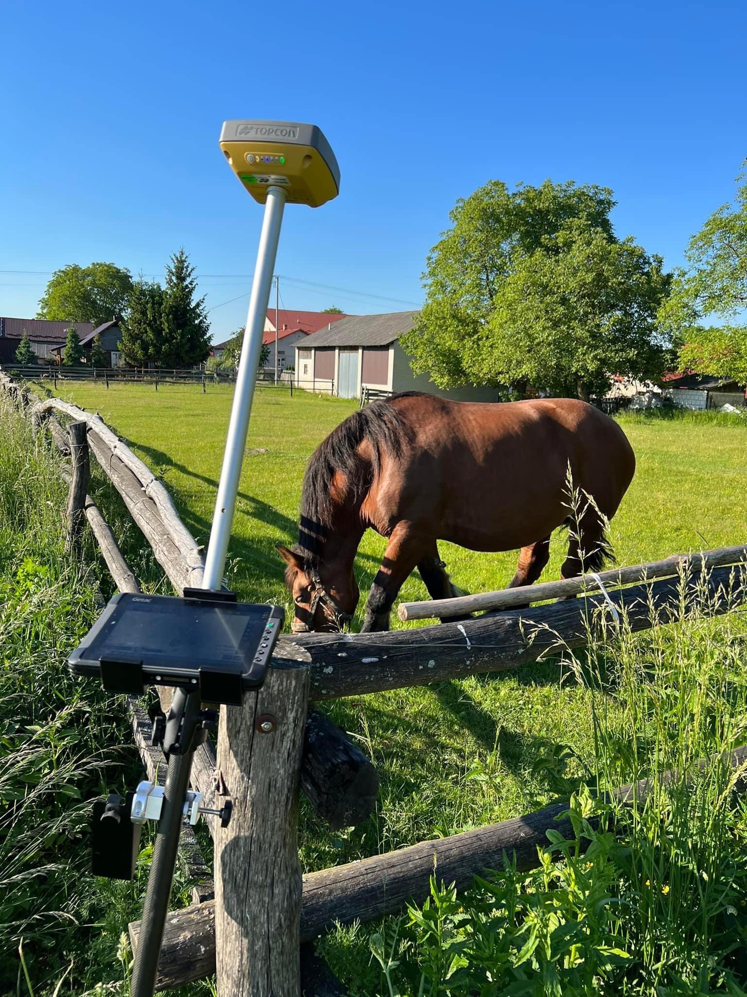 Sprzęt geodezyjny Topcon na statywie, z tabletem przymocowanym do drewnianego płotu, obok brązowy koń na zielonym pastwisku w słoneczny dzień.